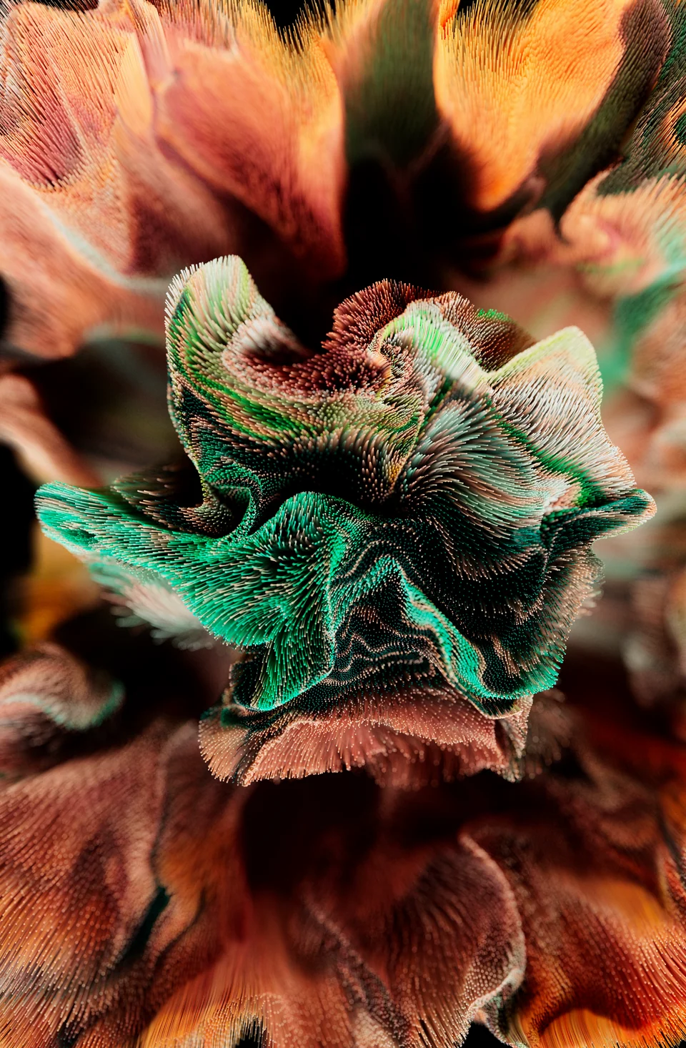 Desert Flower I