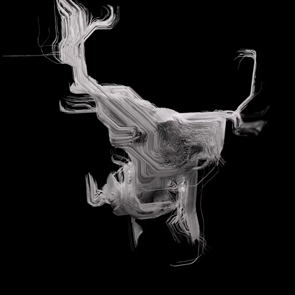 Data Advection