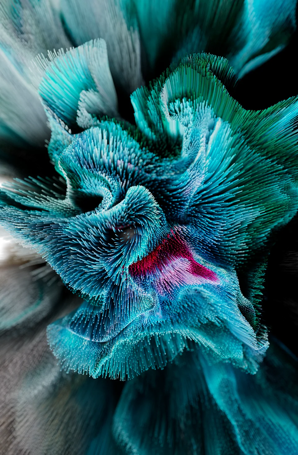 Desert Flower II