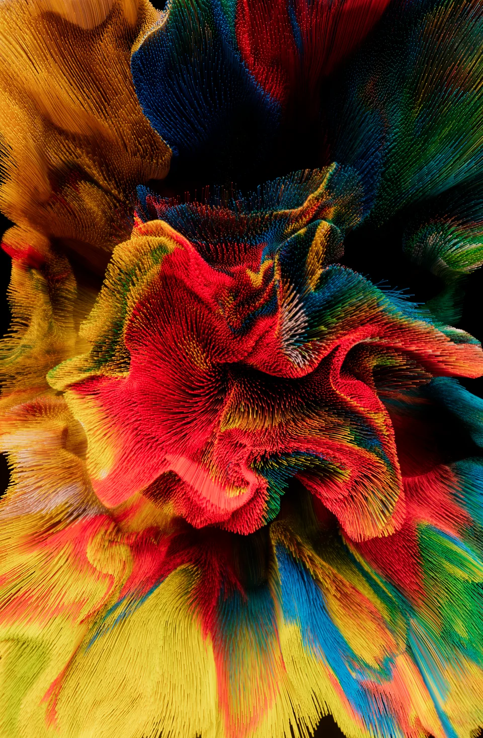 Desert Flower III