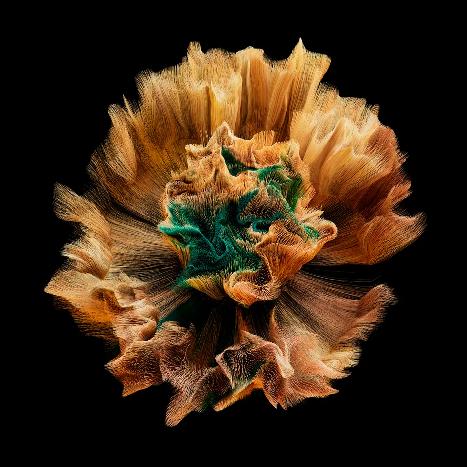 Desert Flower