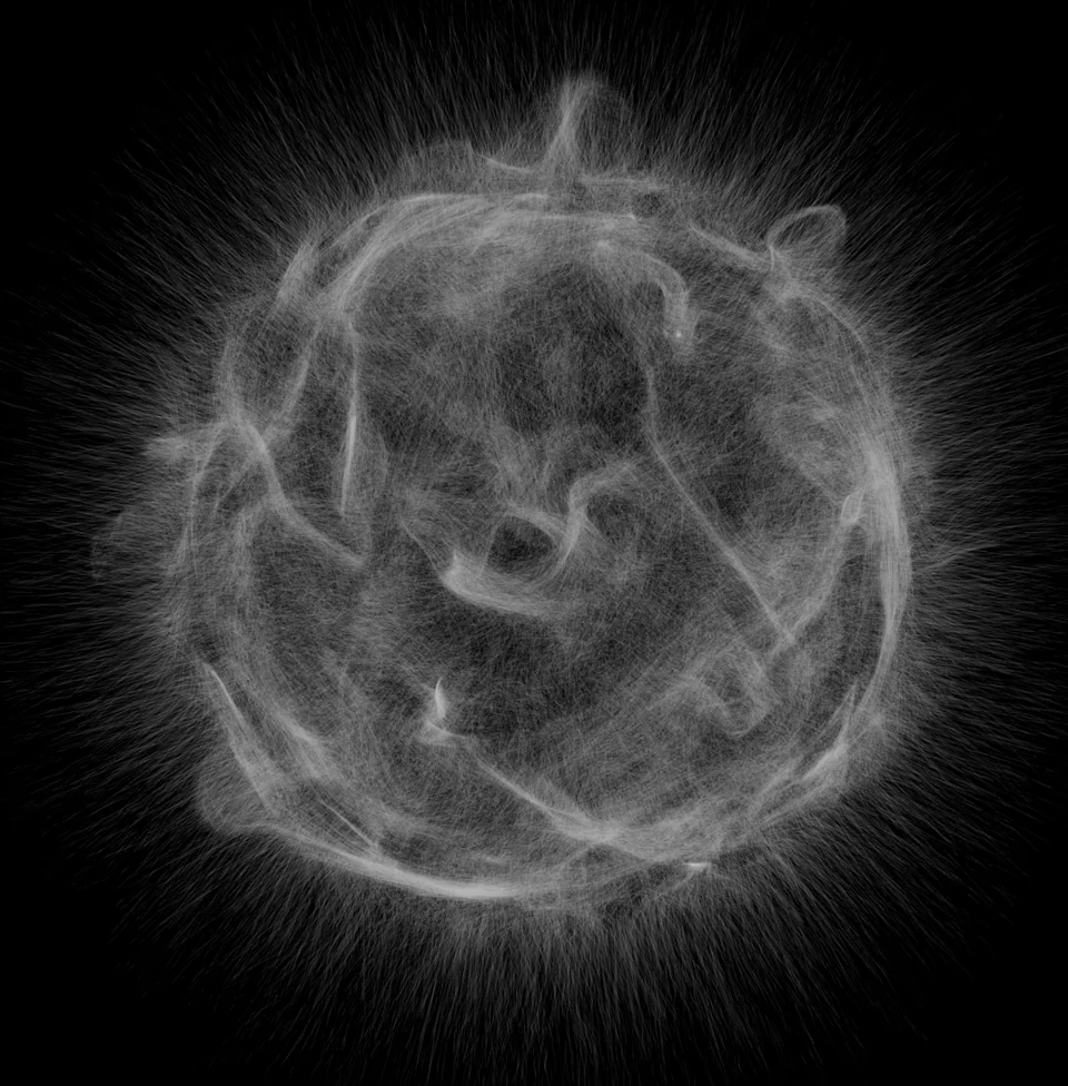 Topologik 4