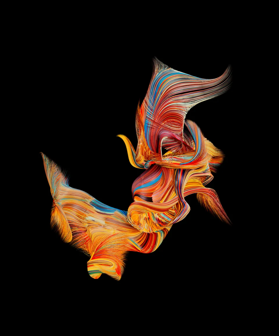 HippoCampus