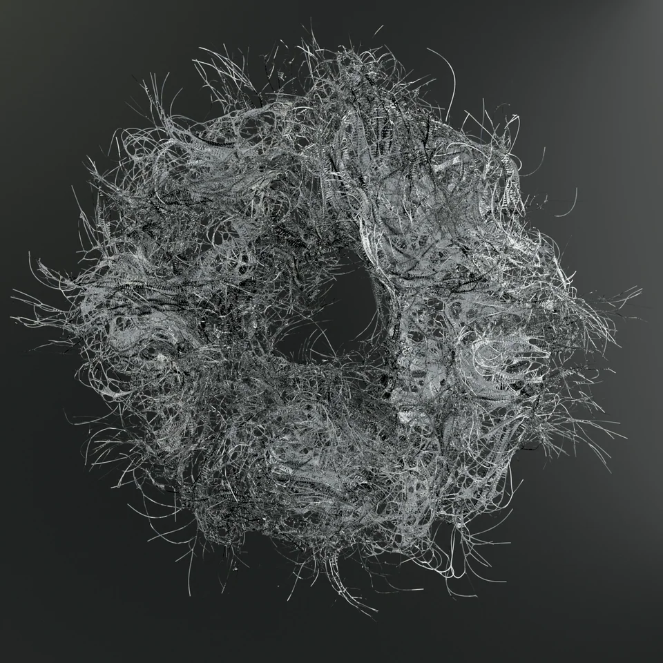 Complexity